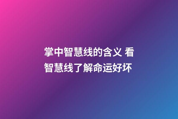 掌中智慧线的含义 看智慧线了解命运好坏